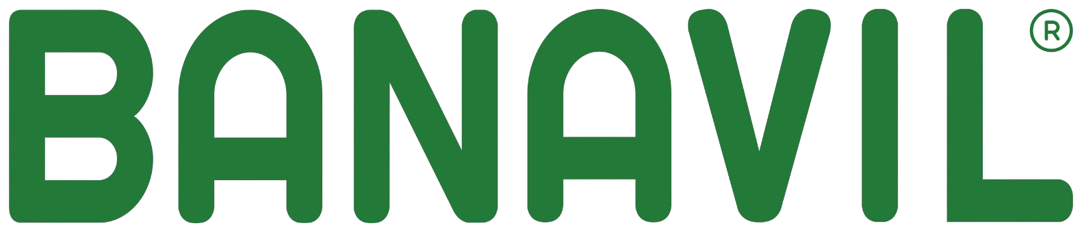 BANAVIL Text Logo